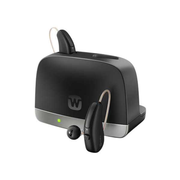 Standard Charger Allure RIC R D